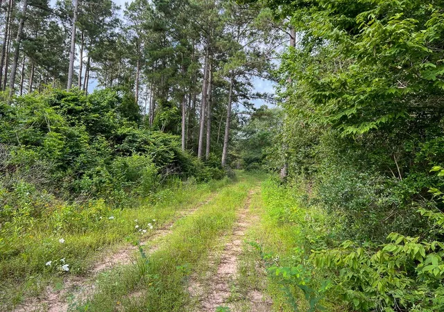 Photo 3 of Land for sale at 000 Fm 1725, Willis, TX 77378 | MLS# 22885156 | Listing updated on 2026-03-06
