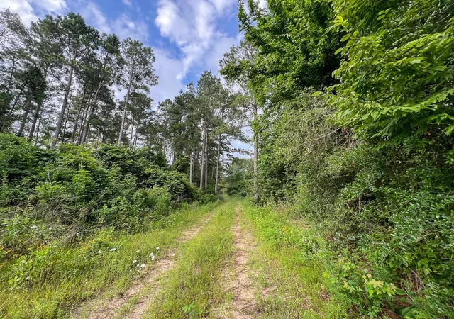 Photo 4 of Land for sale at 000 Fm 1725, Willis, TX 77378 | MLS# 22885156 | Listing updated on 2026-03-06