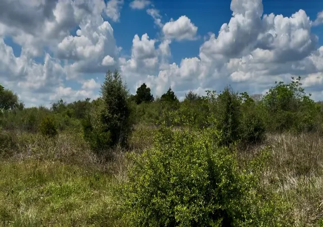 Photo 2 of Land for sale at 5815 Wild Flower Rd, Sealy, TX 77474 | MLS# 31761710 | Listing updated on 2026-07-27