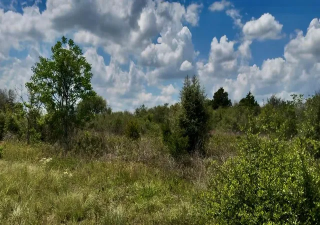 Photo 3 of Land for sale at 5815 Wild Flower Rd, Sealy, TX 77474 | MLS# 31761710 | Listing updated on 2026-07-27