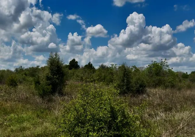 Photo 3 of Land for sale at 5815 Wild Flower Rd, Sealy, TX 77474 | MLS# 31761710 | Listing updated on 2026-07-27