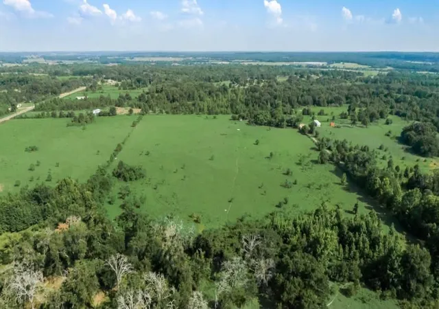 Photo 1 of Land for sale at 351 County Road 351, Oakwood, TX 75855 | MLS# 21474748 | Listing updated on 2026-08-27