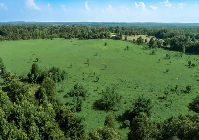 Photo 2 of Land for sale at 351 County Road 351, Oakwood, TX 75855 | MLS# 21474748 | Listing updated on 2026-08-27