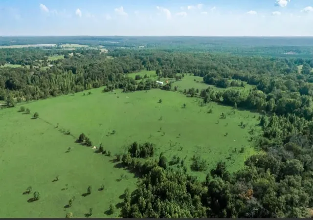Photo 4 of Land for sale at 351 County Road 351, Oakwood, TX 75855 | MLS# 21474748 | Listing updated on 2026-08-27