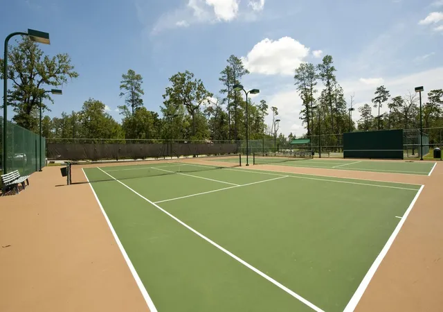 50th image of 27402 W Balsam Fir, Spring, TX 77386 | MLS# 68157019