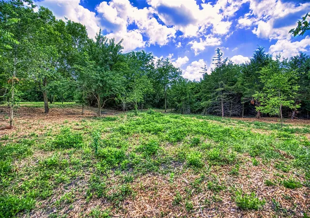 7th image of Lots 6 & 7 Wonder Hill Rd, Chappell Hill, TX 77426 | MLS# 74615841