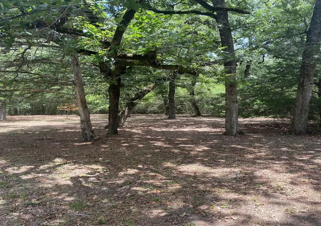 Photo 2 of Land for sale at 165 Navarro Dr, Normangee, TX 77871 | MLS# 64383627 | Listing updated on 2026-07-25