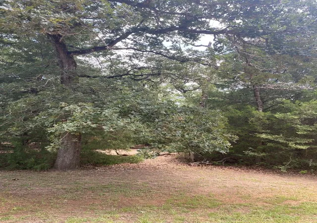 Photo 2 of Land for sale at 165 Navarro Dr, Normangee, TX 77871 | MLS# 64383627 | Listing updated on 2026-07-25