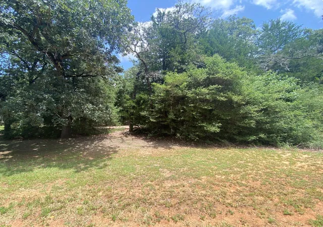 Photo 3 of Land for sale at 165 Navarro Dr, Normangee, TX 77871 | MLS# 64383627 | Listing updated on 2026-07-25