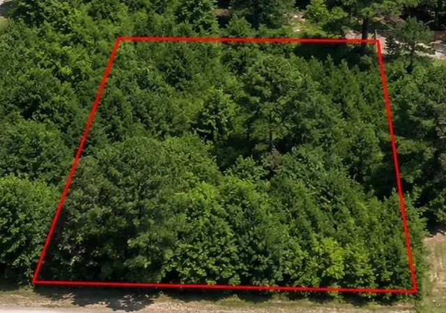 3rd image of 0 Spanish Oaks Dr, New Caney, TX 77357 | MLS# 50878952