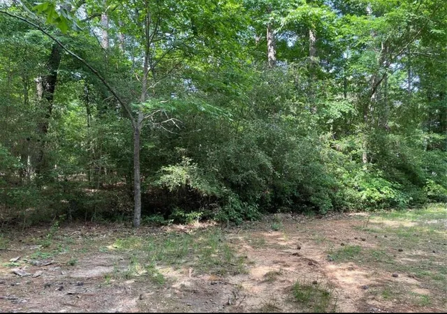 Photo 2 of Land for sale at 15 Fern View Ct, Coldspring, TX 77331 | MLS# 66739124 | Listing updated on 2026-04-13