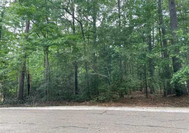 Photo 3 of Land for sale at 15 Fern View Ct, Coldspring, TX 77331 | MLS# 66739124 | Listing updated on 2026-04-13