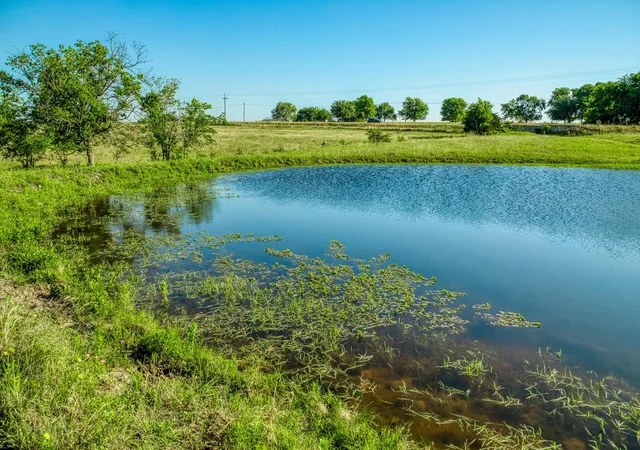 Homes for sale in Burton, TX | 5005 Fuchs Rd, Burton, TX 77835 | MLS# 94772688