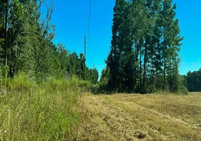 Photo 3 of Land for sale at 0015 Sh 249, Navasota, TX 77868 | MLS# 32647844 | Listing updated on 2026-03-18