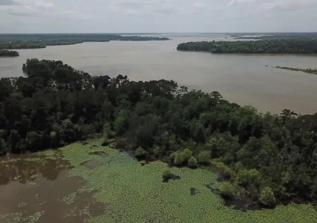 Photo 1 of Land for sale at 0 Reba Ln, Huffman, TX 77336 | MLS# 29253145 | Listing updated on 2026-04-22