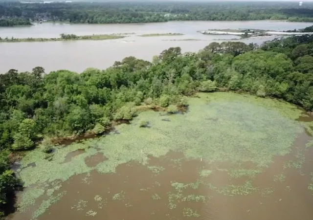 Photo 2 of Land for sale at 0 Reba Ln, Huffman, TX 77336 | MLS# 29253145 | Listing updated on 2026-04-22
