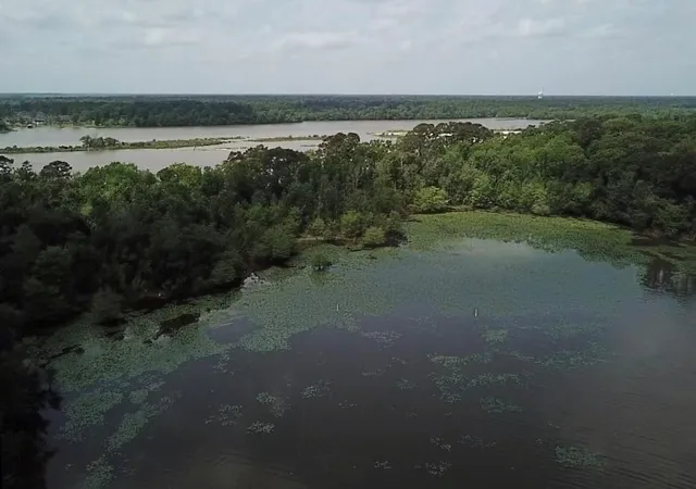 Photo 3 of Land for sale at 0 Reba Ln, Huffman, TX 77336 | MLS# 29253145 | Listing updated on 2026-04-22