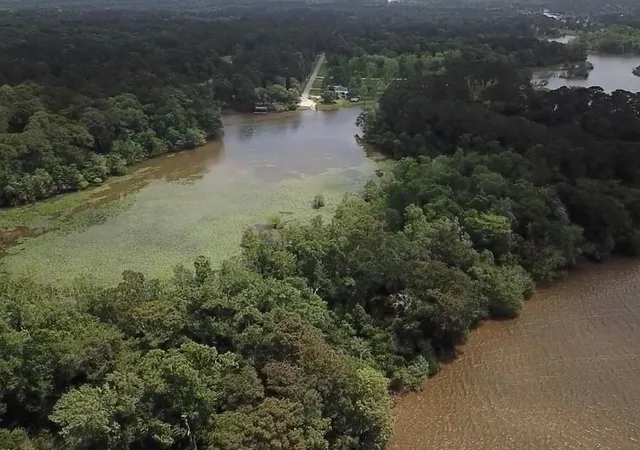 Photo 3 of Land for sale at 0 Reba Ln, Huffman, TX 77336 | MLS# 29253145 | Listing updated on 2026-04-22