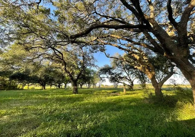 Photo 3 of Land for sale at 4903 Davenport Pkwy, Rosharon, TX 77583 | MLS# 54930183 | Listing updated on 2026-08-04
