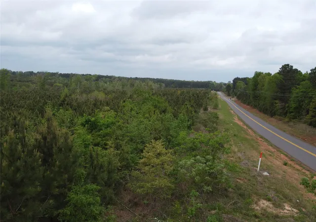Homes for sale in Kilgore, TX | Tbd Joy Wright Mount Rd, Kilgore, TX 75662 | MLS# 70404047
