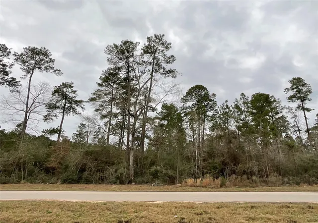Land for sale at 15877 Four Hills Rd, Willis, TX 77378 | MLS# 67581979