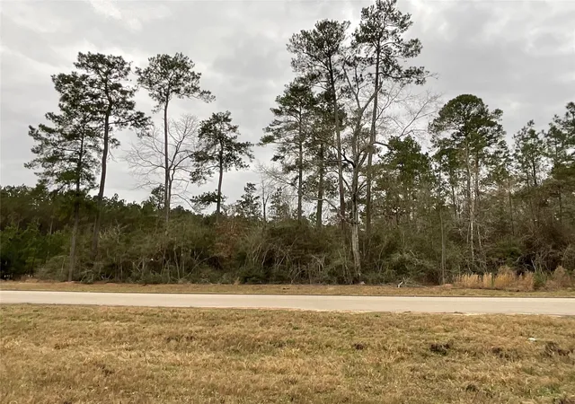 Photo 1 of Land for sale at 15877 Four Hills Rd, Willis, TX 77378 | MLS# 67581979 | Listing updated on 2026-08-07