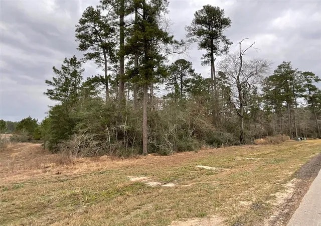 Photo 2 of Land for sale at 15877 Four Hills Rd, Willis, TX 77378 | MLS# 67581979 | Listing updated on 2026-08-07