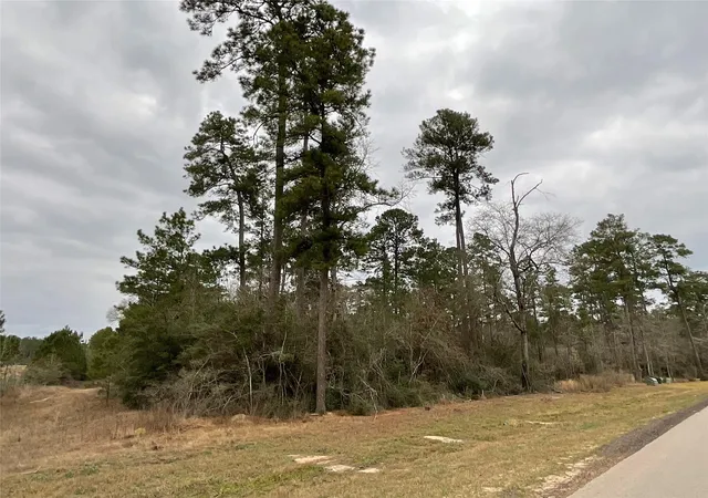 Photo 3 of Land for sale at 15877 Four Hills Rd, Willis, TX 77378 | MLS# 67581979 | Listing updated on 2026-08-07