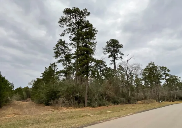 Photo 4 of Land for sale at 15877 Four Hills Rd, Willis, TX 77378 | MLS# 67581979 | Listing updated on 2026-08-07