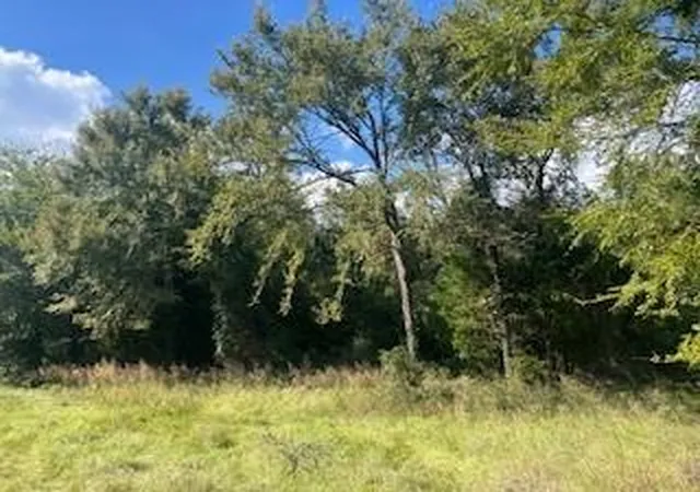 Homes for sale in Jewett, TX | Tbd 1 Lcr 898, Jewett, TX 75846 | MLS# 27750141