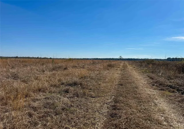 3rd image of 0000 Hwy 61, Devers, TX 77538 | MLS# 52729924