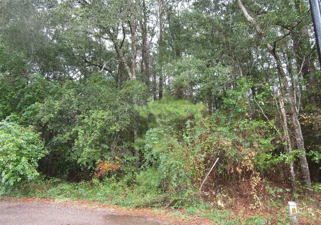 Photo 2 of Land for sale at Lot 9 Stephens Forest, New Caney, TX 77357 | MLS# 89782776 | Listing updated on 2026-08-20