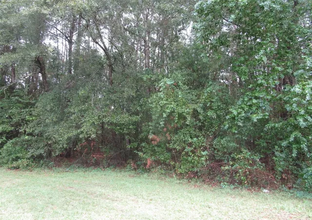 Photo 3 of Land for sale at Lot 9 Stephens Forest, New Caney, TX 77357 | MLS# 89782776 | Listing updated on 2026-08-20