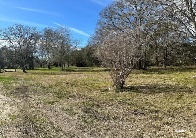 1st image of 0 County Road 179, Alvin, TX 77511 | MLS# 69690181