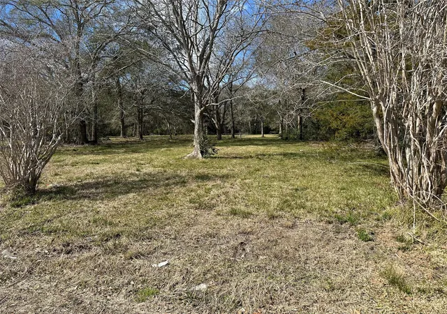 3rd image of 0 County Road 179, Alvin, TX 77511 | MLS# 69690181