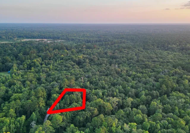 2nd image of 00 County Road 3612, Splendora, TX 77372 | MLS# 63941347
