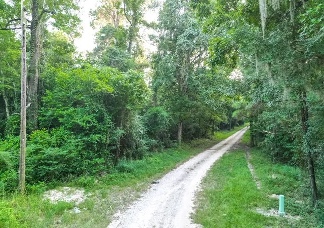 3rd image of 00 County Road 3612, Splendora, TX 77372 | MLS# 63941347