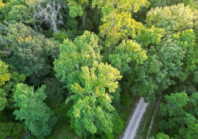 4th image of 00 County Road 3612, Splendora, TX 77372 | MLS# 63941347