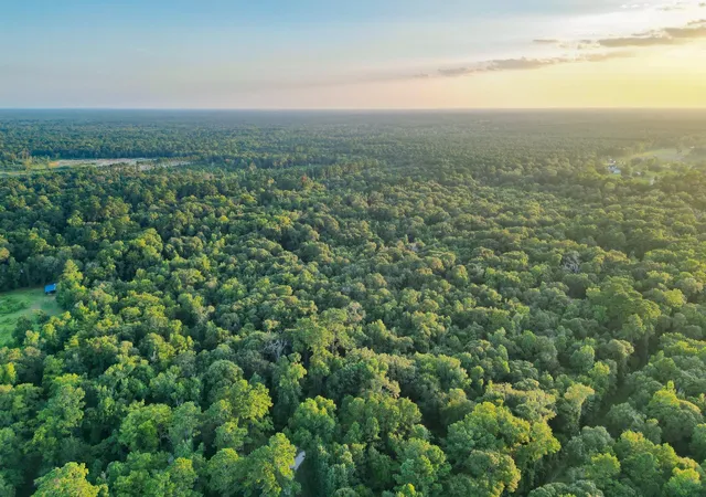 5th image of 00 County Road 3612, Splendora, TX 77372 | MLS# 63941347