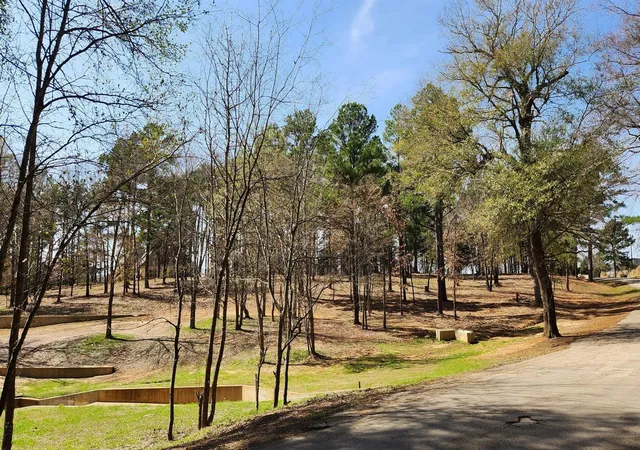 Photo 3 of Land for sale at 22540 County Rd 1174, Bullard, TX 75757 | MLS# 5172959 | Listing updated on 2026-07-15