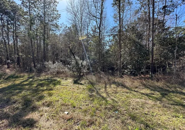 Homes for sale in Cleveland, TX | Tbd Road 2727, Cleveland, TX 77327 | MLS# 70380868