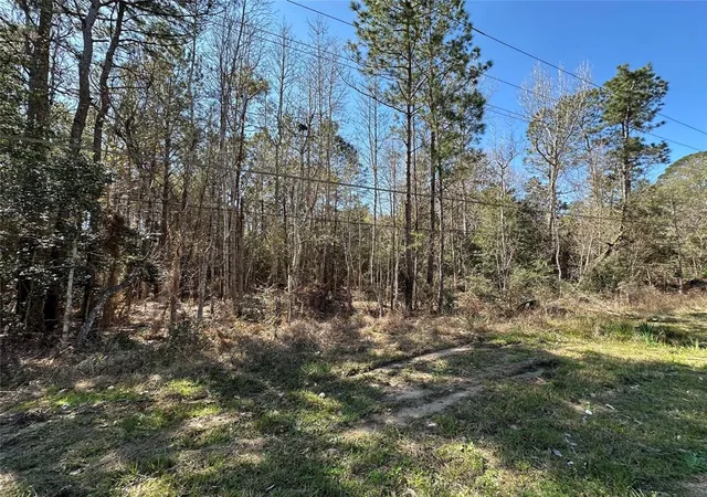 Homes for sale in Cleveland, TX | Tbd Road 2727, Cleveland, TX 77327 | MLS# 70380868