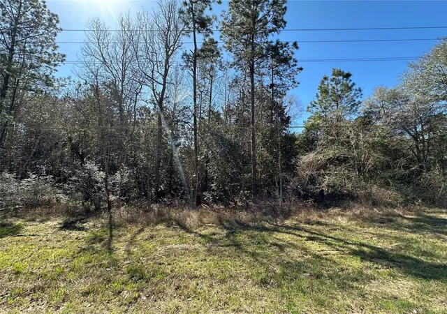 Homes for sale in Cleveland, TX | Tbd Road 2727, Cleveland, TX 77327 | MLS# 70380868