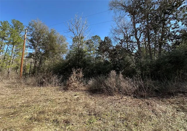 Homes for sale in Cleveland, TX | Tbd Road 2727, Cleveland, TX 77327 | MLS# 70380868