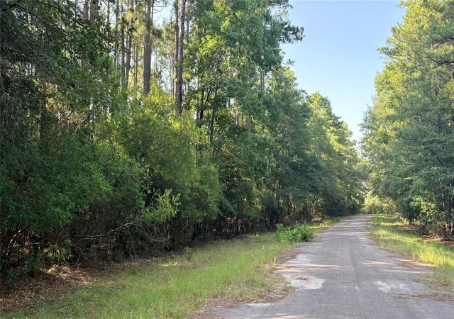 Photo 2 of Land for sale at Lot 19 Silver Birch, Village Mills, TX 77663 | MLS# 71830983 | Listing updated on 2026-08-06