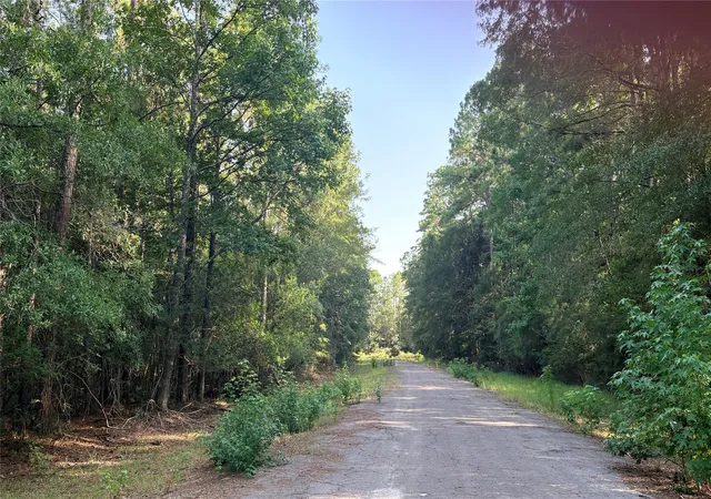 Photo 3 of Land for sale at Lot 19 Silver Birch, Village Mills, TX 77663 | MLS# 71830983 | Listing updated on 2026-08-06