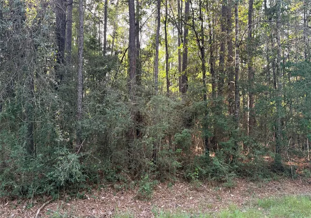 Photo 3 of Land for sale at Lot 19 Silver Birch, Village Mills, TX 77663 | MLS# 71830983 | Listing updated on 2026-08-06