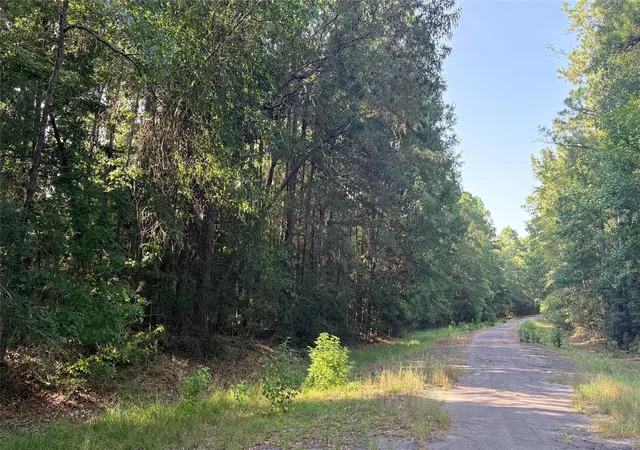 Photo 4 of Land for sale at Lot 19 Silver Birch, Village Mills, TX 77663 | MLS# 71830983 | Listing updated on 2026-08-06