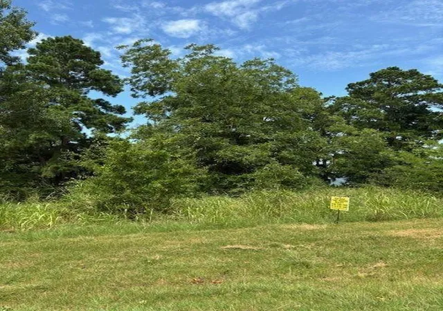 1st image of 1867 Fm 3186, Onalaska, TX 77360 | MLS# 70771422