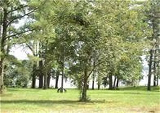 4th image of 1867 Fm-3186, Onalaska, TX 77360 | MLS# 70771422